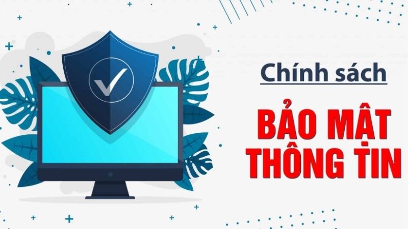 Thông tin của người chơi được sử dụng